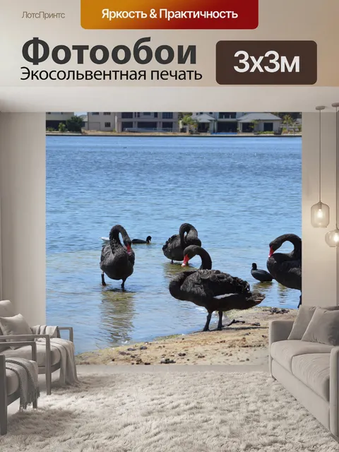 Фотообои Лебединое озеро