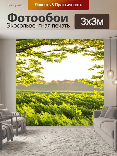 Фотообои япония, яркое утро на ферме с солнечными лучами, пробивающимися через листья дерева