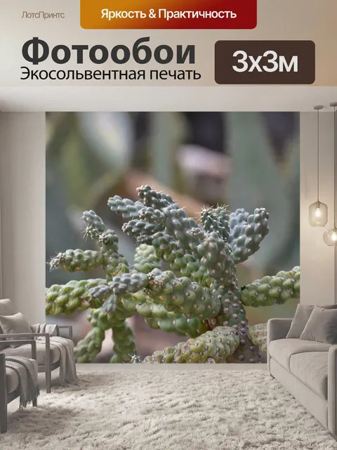 Фотообои Цепной фруктовый чолла