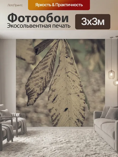 Фотообои Осенние листья