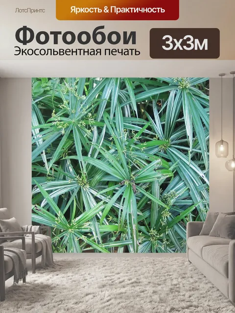 Фотообои зеленые растения в саду
