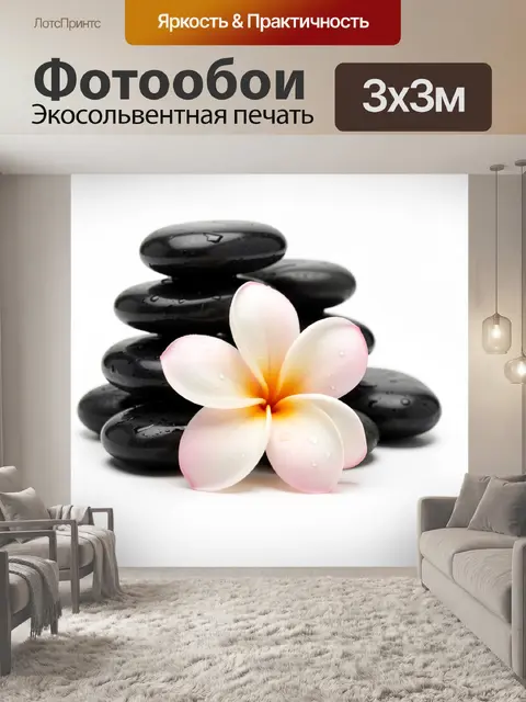 Фотообои Черные камни и белый цветок