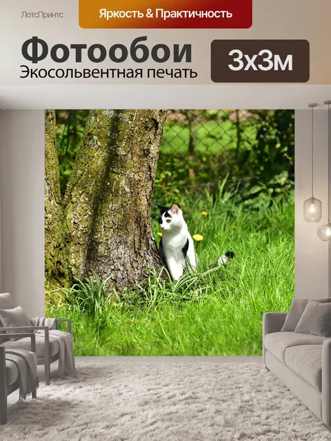 Фотообои Кот