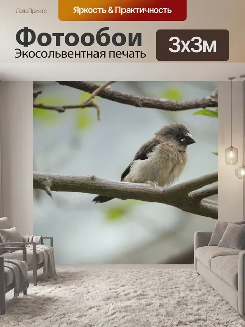 Фотообои Птицы