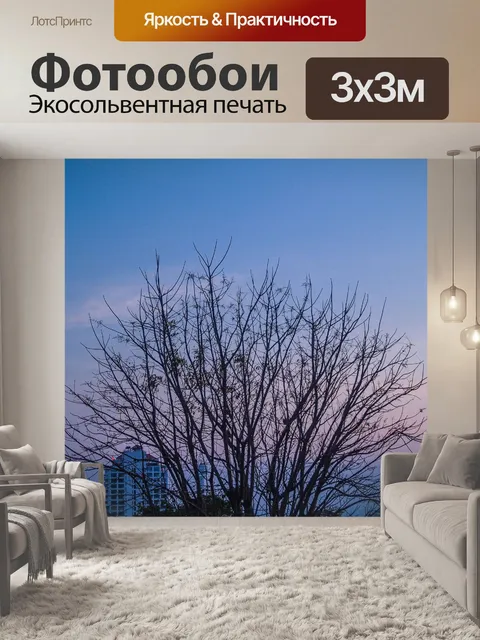 Фотообои Естественный закат, восход пейзаж