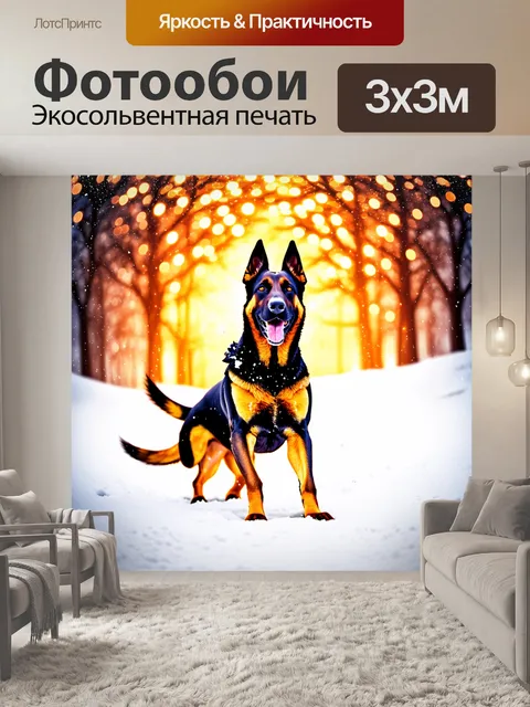 Фотообои на фоне новогодних огней, бельгийская овчарка малинуа весело играет в снежки, излучая энергичную радость