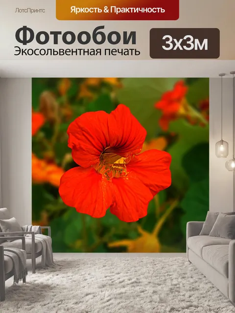 Фотообои Цветок