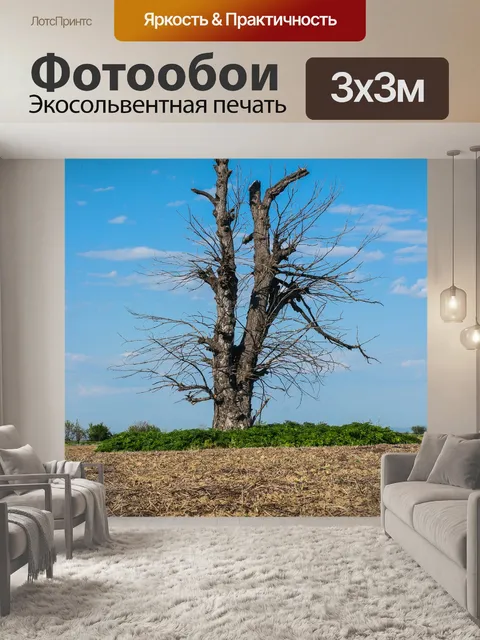 Фотообои Весна