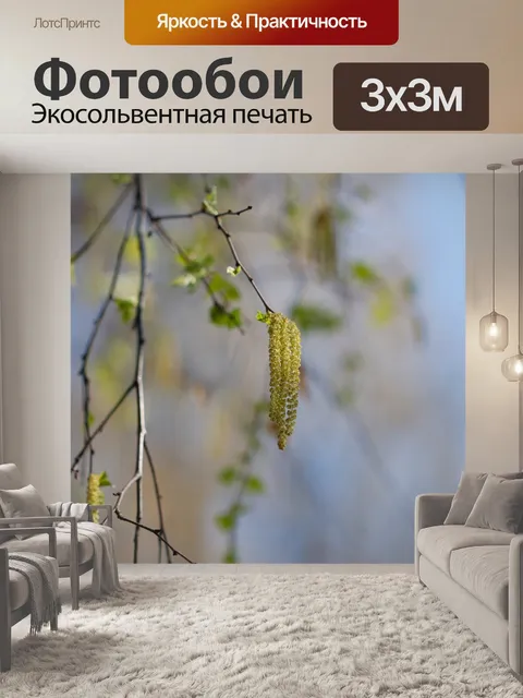Фотообои Берёза