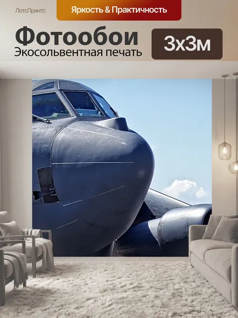 Фотообои Бомбардировщик