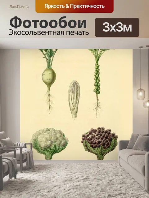 Фотообои Сад овощи винтаж старый