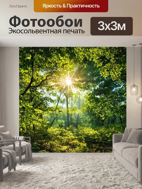 Фотообои светлый лес, где солнце пробивается через листву и создает тени, окружающие символы достижения ким чен ына