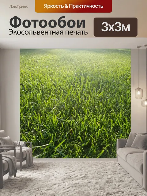 Фотообои Зеленый фон травы