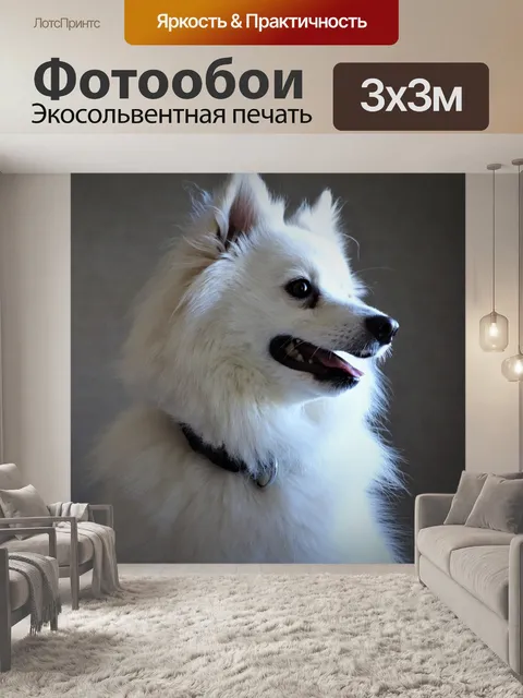 Фотообои Собака