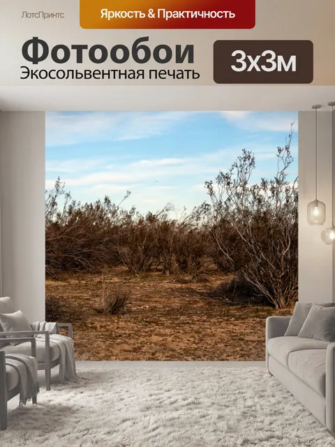 Фотообои Кисть для пустыни