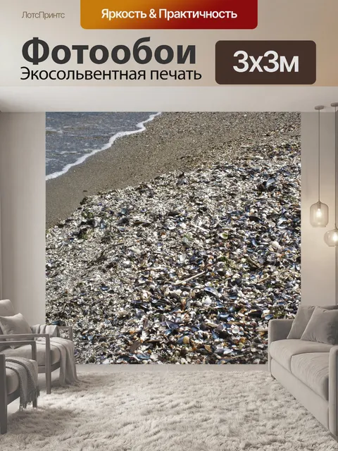 Фотообои Shell beach