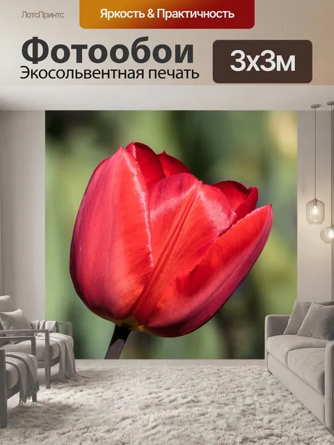 Фотообои Цветок