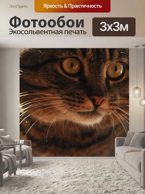 Фотообои Внимание