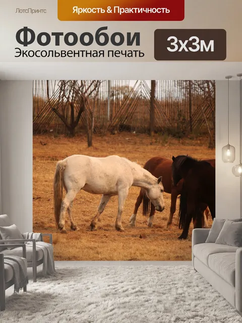 Фотообои белая лошадь с коричневыми лошадьми