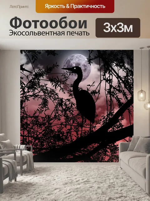 Фотообои Птица