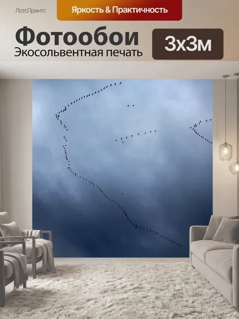 Фотообои Ключ птиц
