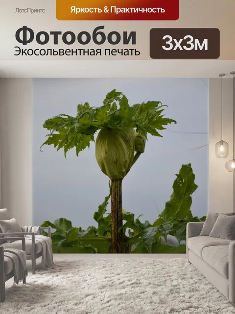 Фотообои Голландские цветы сады 96