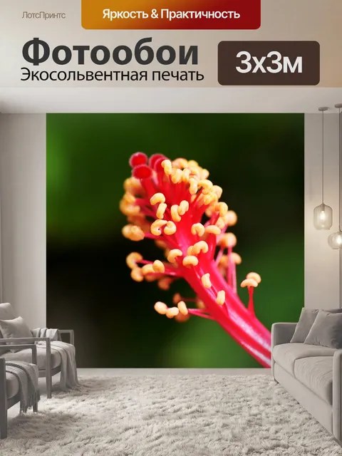 Фотообои Тычинка