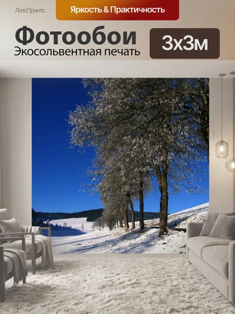 Фотообои Мороженое