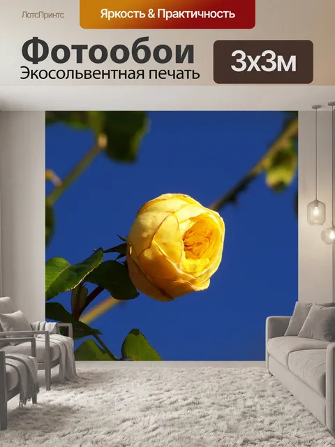 Фотообои Роуз