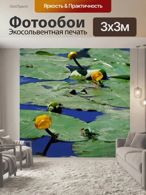 Фотообои Желтый пруд роза