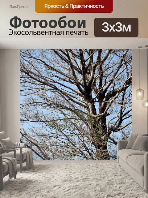 Фотообои Деревья и лес 9