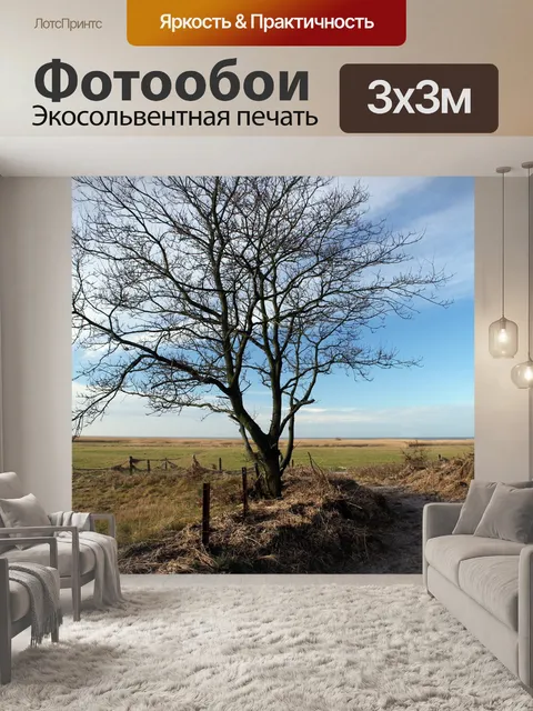 Фотообои Северное море