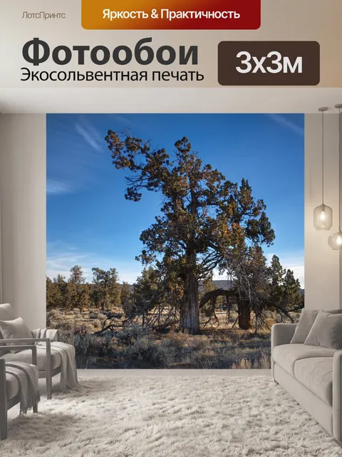 Фотообои Бесплодные земли
