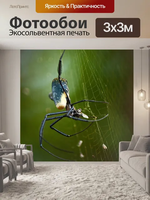 Фотообои золотой шар ткач паук с мухой