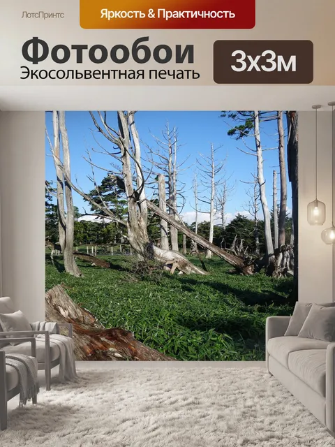 Фотообои Странах как бывшего ссср 原山