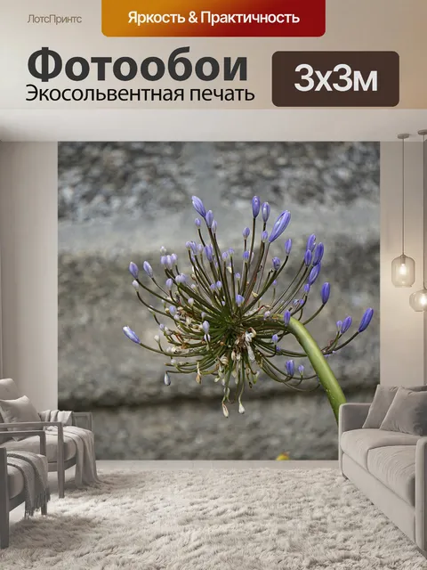 Фотообои Декоративный лук
