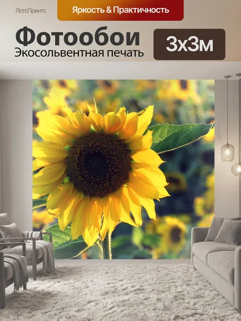 Фотообои Подсолнух
