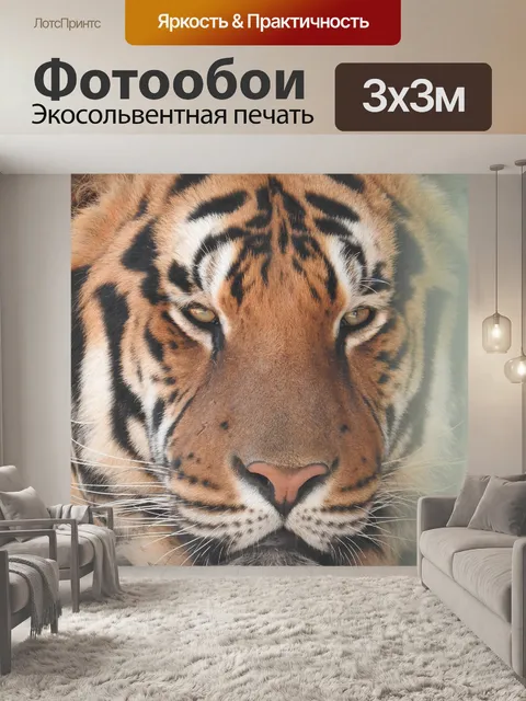 Фотообои Тигр