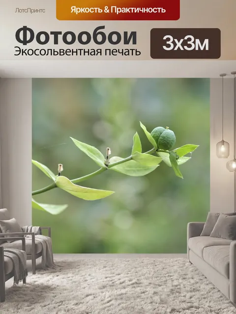 Фотообои Молочай поперечно-листовой
