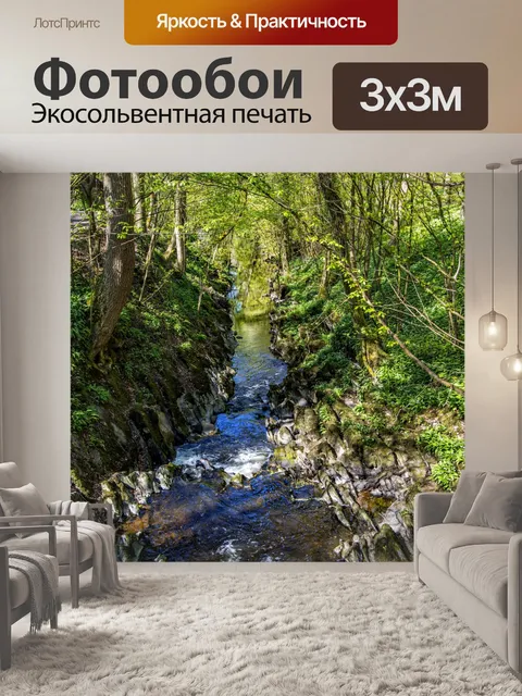 Фотообои Лес в Скиптоне