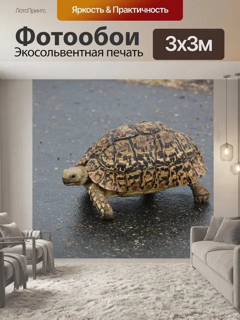 Фотообои Леопардовая черепаха