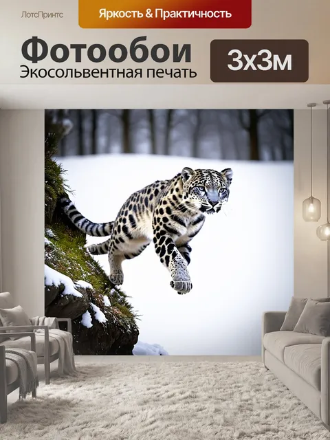 Фотообои ловкий снежный барс, прыгающий с одной скалы на другую, его мускулы натянуты, готовые к захвату добычи