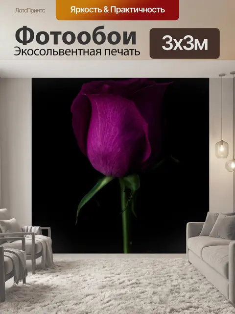 Фотообои Темный