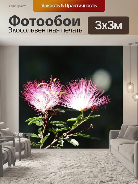 Фотообои Цветок