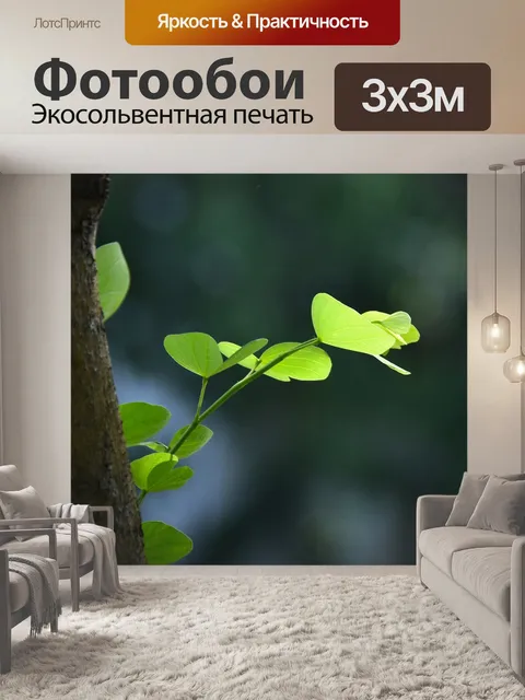 Фотообои Зеленый лист
