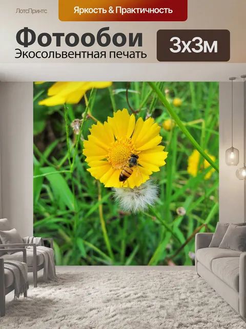 Фотообои ромашка, одуванчик и мед пчелиный