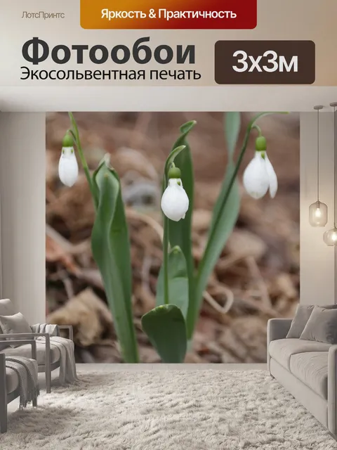 Фотообои Подснежник