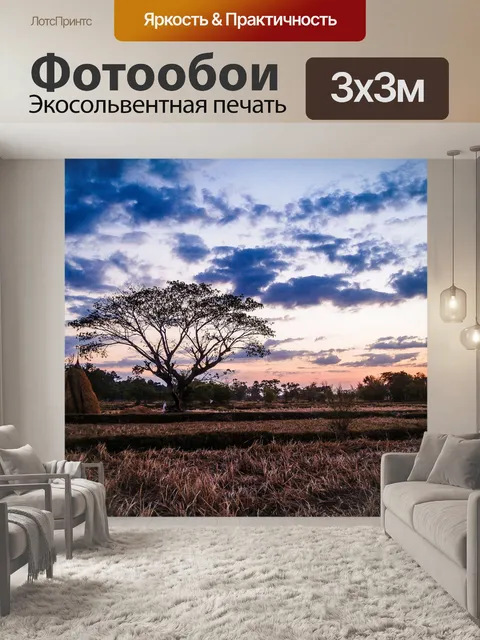 Фотообои дерево на закате