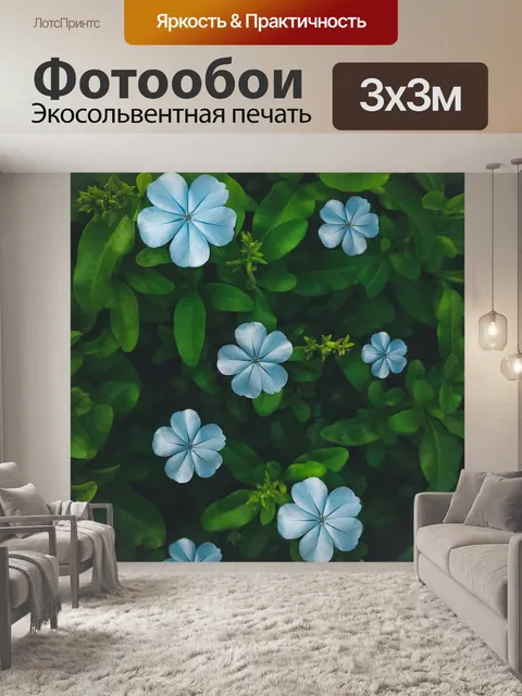 Фотообои Цветы