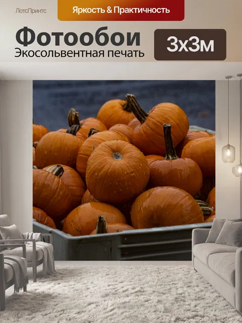 Фотообои Тыквы, пропитанные дождем